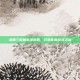 巫师三前期必拿装备，打造你的游戏之旅