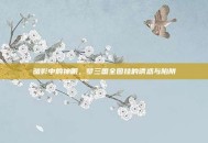 暗影中的神眼，梦三国全图挂的诱惑与陷阱