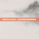 探索Steam平台，中文游戏属性的深度解析