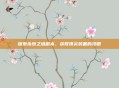 探索永恒之塔副本，获取顶尖装备的攻略