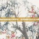 揭秘维鲁斯的天赋系统，游戏策略与技巧全攻略