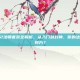 火炬之光2法师套装全解析，从入门到封神，你的法杖该指向何方？