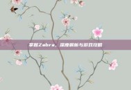 掌握Zabra，深度解析与游戏攻略