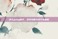 游久pubg助手，游戏攻略与技巧全解析
