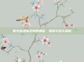 暮光高地幽灵狼的奥秘,探索与战斗指南