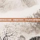 轩辕传奇战士攻略，掌握战斗技巧，成为战场上的不败英雄