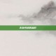 无处可逃的血影