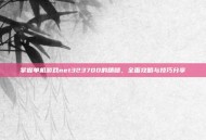 掌握单机游戏net323700的精髓，全面攻略与技巧分享