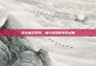 街头霸王系列，格斗游戏的不朽经典