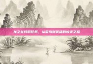 龙之谷转职任务，从菜鸟到英雄的蜕变之路