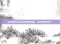 探索斯巴达之魂手机版的奥秘，游戏攻略与技巧