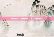 掌握狱岩石武器的奥秘，游戏攻略与技巧