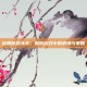 结婚游戏大全，探索游戏中的浪漫与策略