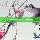 Steam游戏资讯与攻略指南