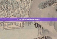 CSGO中的武器展示调整技巧