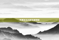 苹果怎么分屏王者荣耀