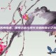 苏州奇遇，探索古韵与现代交融的奇幻之旅