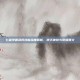 七雄争霸武将技能深度解析，逆天神技与觉醒奥义