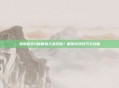 孤胆枪手2秘籍输入没反应？解锁游戏技巧与攻略