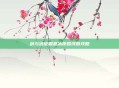 剑与远征霜息冰原路线图攻略