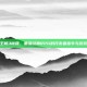 哥特王朝3秘籍，重温经典RPG的开发者指令与游戏乐趣