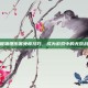 掌握物理伤害免疫技巧，成为游戏中的无敌战士