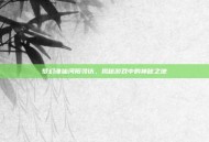 梦幻诛仙河阳寻访，揭秘游戏中的神秘之地