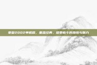 拳皇2002单机版，重温经典，感受格斗的激情与魅力