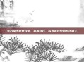 宝石骑士打野攻略，掌握技巧，成为游戏中的野区霸主