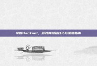 掌握Hacknet，游戏内隐藏技巧与策略指南