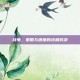 战龟，策略与速度的终极对决