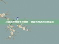 红警战网对战平台官网，策略与技术的完美结合