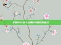 掌握DNF战斗法师的终极技能组合