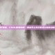绿影迷踪，CSOL剧毒陷阱—那些年让我们胆战心惊的绿帽子