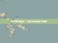 辉龙石的秘密，游戏中的宝藏与策略