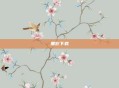 黑影下载