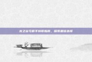 龙之谷弓箭手转职指南，探索最佳选择
