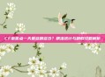 CF荣誉点一天最多刷多少?精准统计与刷取攻略解析
