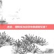逆战，如何成为游戏中的机敏玩家？