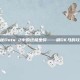 揭秘Dota 2中的终极坐骑——刷DK马的攻略