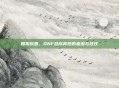 赌狗乐园，DNF合成背后的血泪与狂欢