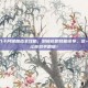 疾风之刃千月姬加点全攻略，别被花哨技能误导，这一套加点让你效率翻倍！