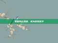 掌握风云武魂，成为游戏高手