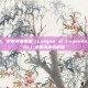 新手上路，掌握英雄联盟（League of Legends，简称LOL）免费英雄的精髓