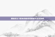 黑暗武士7版本技能组合解析与实战指南