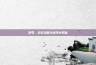 顶号，游戏攻略与技巧大揭秘