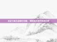 全名飞机大战刷分攻略，如何高效提升你的分数