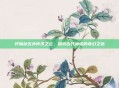 轩辕剑五外传汉之云，探索古代神话的奇幻之旅