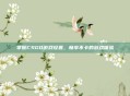掌握CSGO游戏设置，畅享不卡的游戏体验