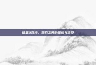 暗黑3双持，双刃之间的狂放与信仰